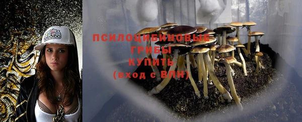 СК Дмитриев