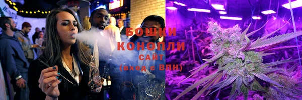 соль ск Богородицк